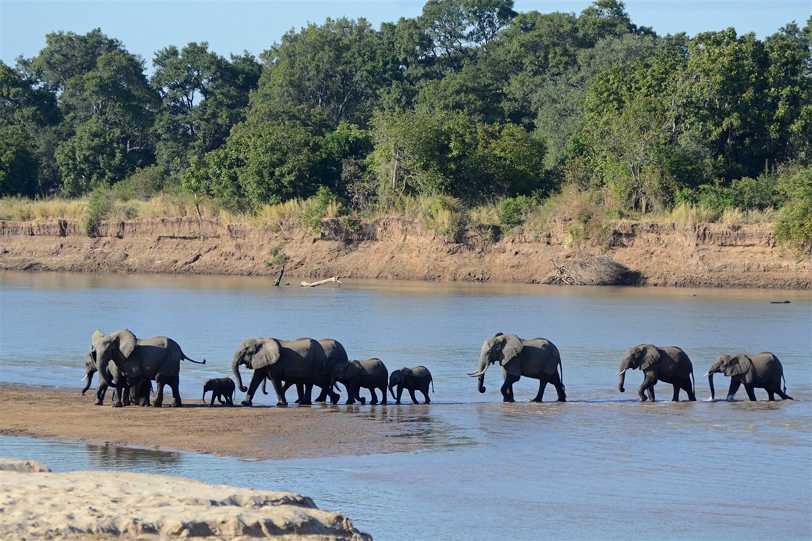 Mfuwe, Zambia